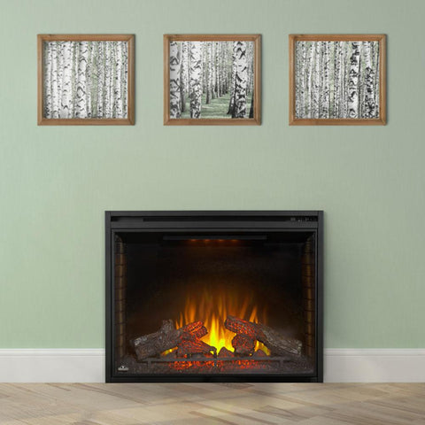 Image of Napoleon Ascent 40" Electric Fireplace Insert - Electric Fireplace - Napoleon - electricfireplacesplusr.com