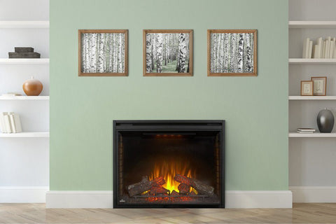 Image of Napoleon Ascent 40" Electric Fireplace Insert - Electric Fireplace - Napoleon - electricfireplacesplusr.com